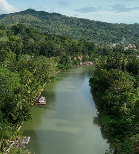 Bohol Tour Package with Hotel in Panglao
